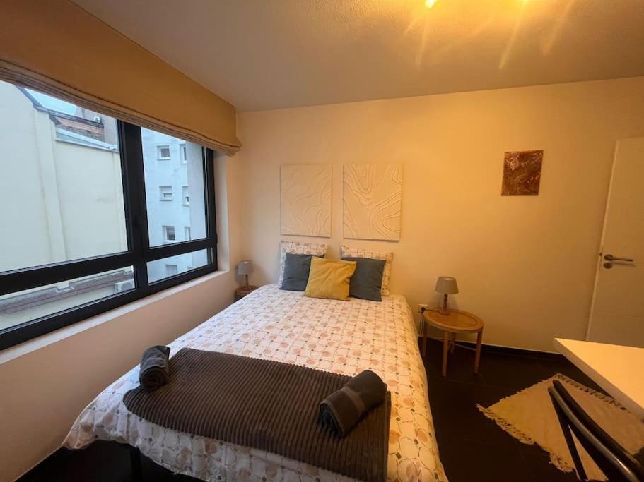 Nid Douillet De La Pie Apartment Strasbourg Exterior photo
